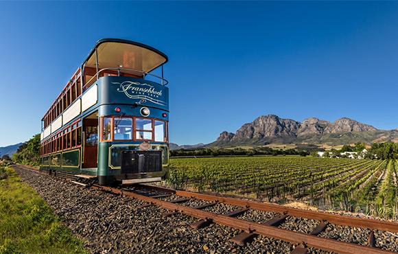 Wine Babylonstoren