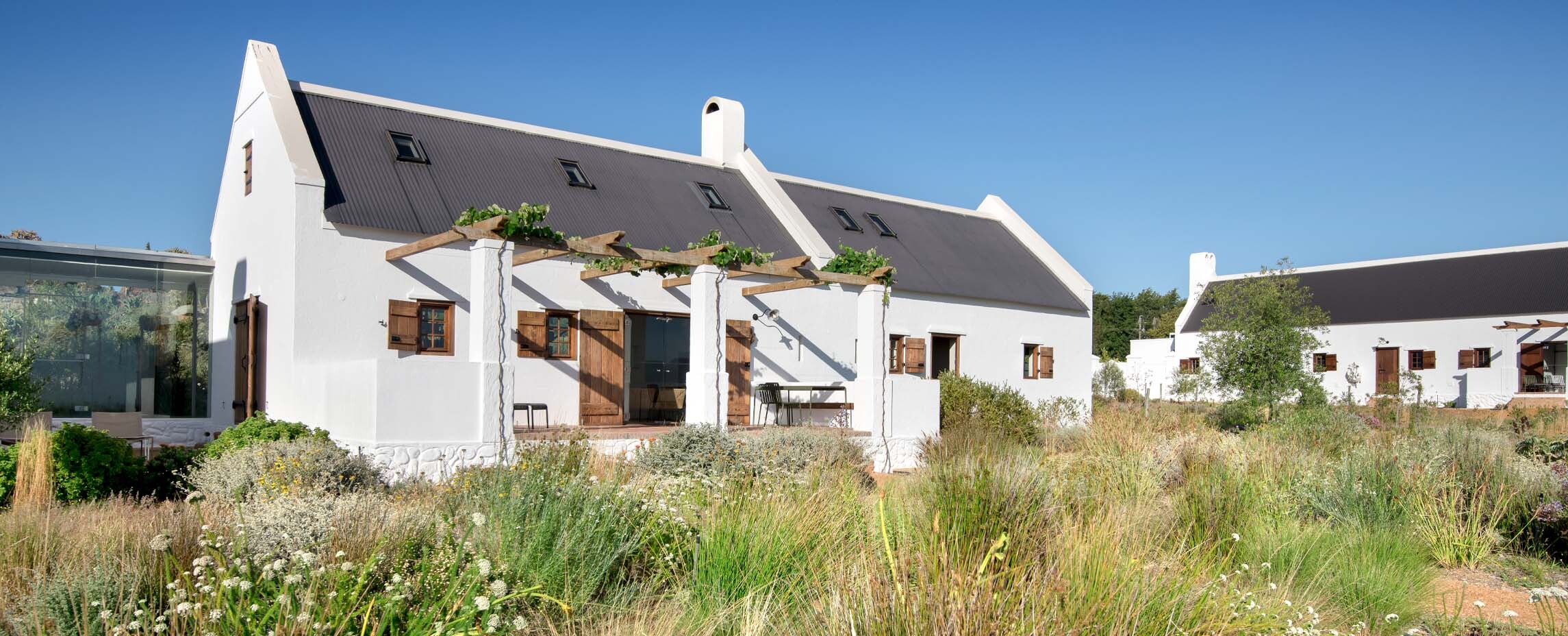 A row of whitewashed cottages with steep dark corrugated roofs, timber shutters and vine-covered pergolas standing in a meadow of fynbos grasses and silver shrubs under a hard blue sky, a glass-walled wing at the near end.