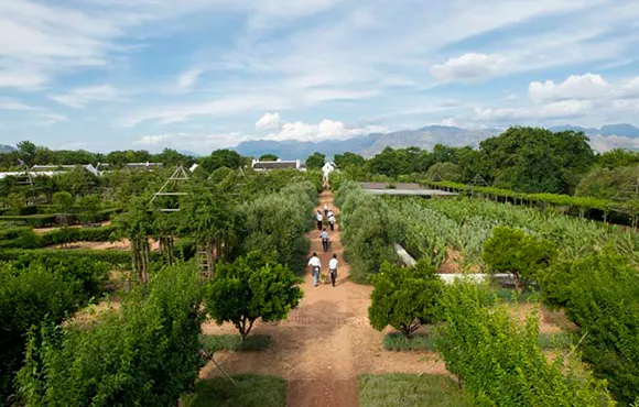 Babylonn Flowers Garden